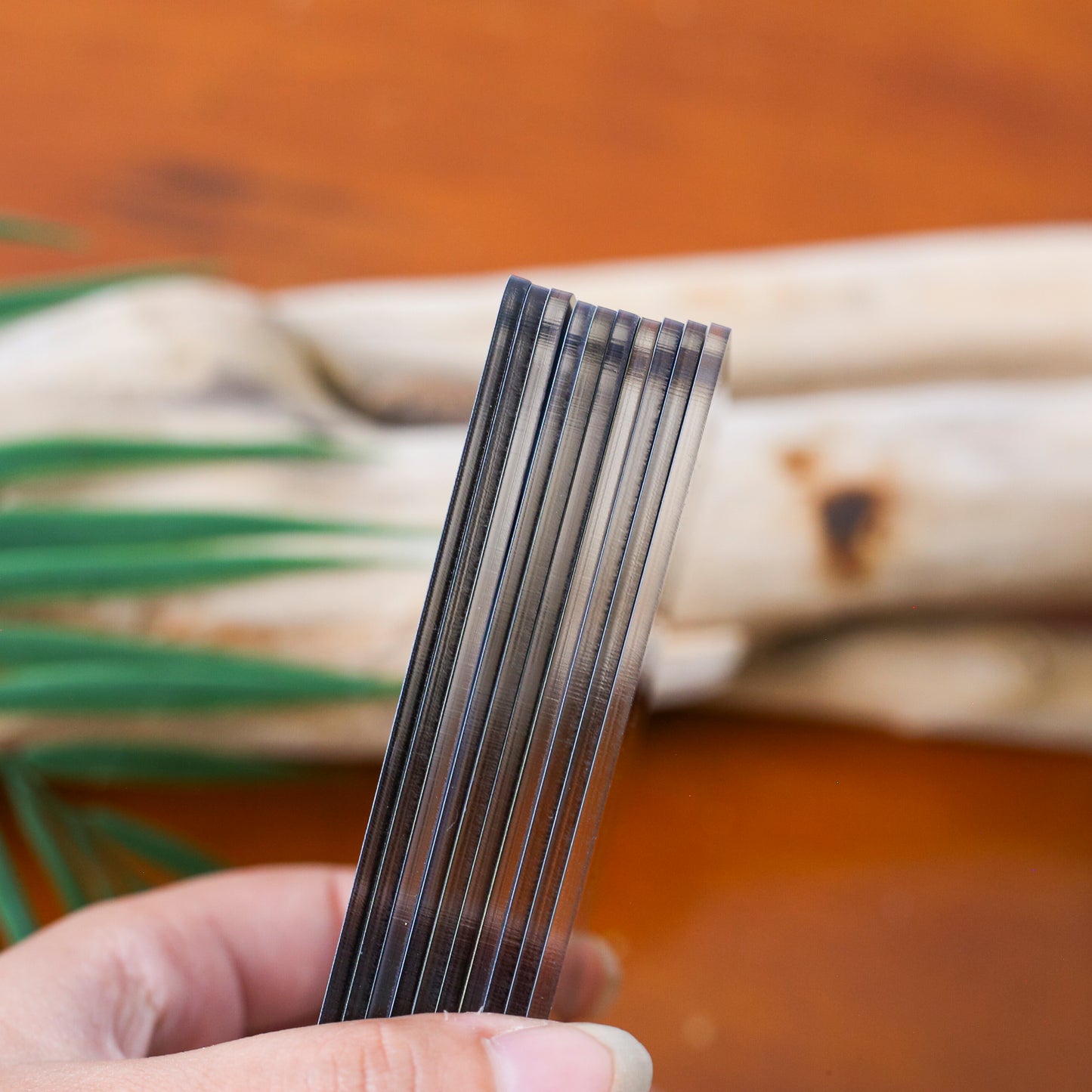 Set of 10 Sacred Animal Plastic Cards – Premium Two-Sided 2.5"x3.5" – 0.1" Thick Durable Plastic